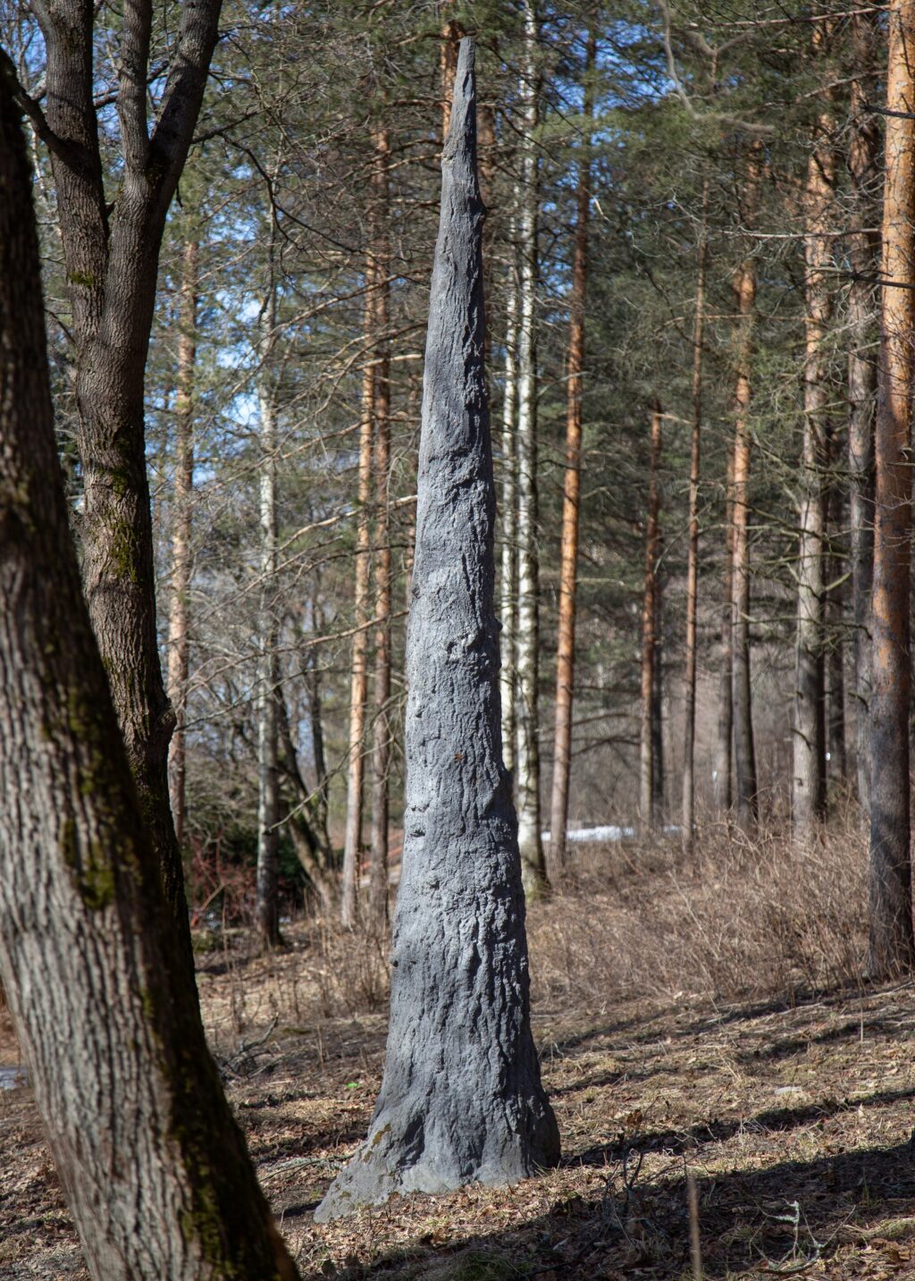 Puistoon sijoitettu betoniveistos, joka esittää ylöspäin kapenevaa puun runkoa.