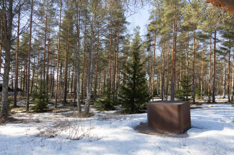 A box-like sculpture in steel, patinated to rust, placed in the forest.