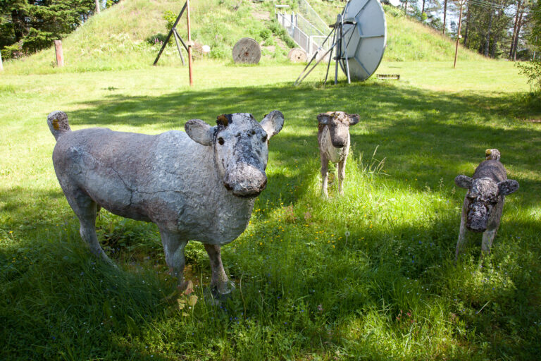 Three concrete sheep sculptures placed in the park.