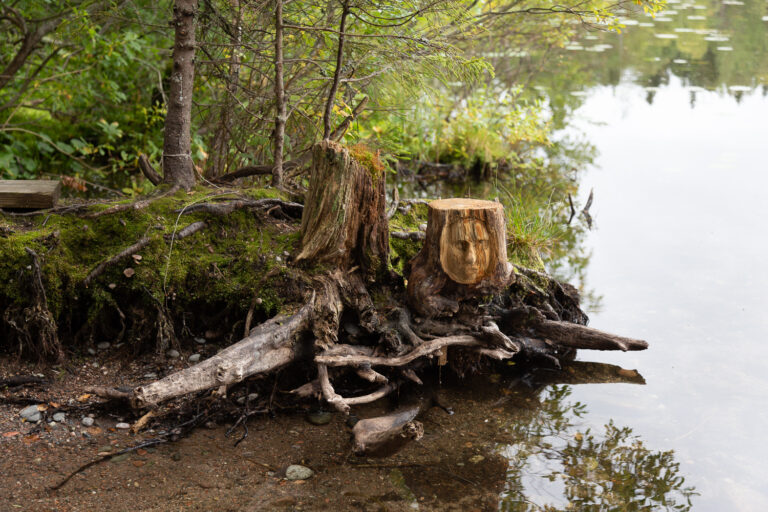 A stump with a human face by the edge of the pond.