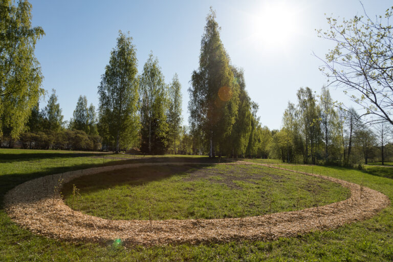 A ring-shaped path with bushes planted on it.